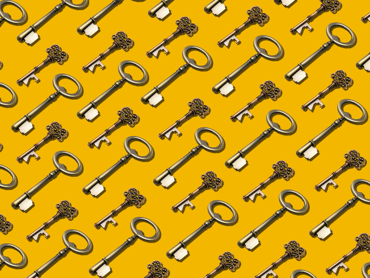 Key Cover vs. Key Organizer: What Is the Difference?
