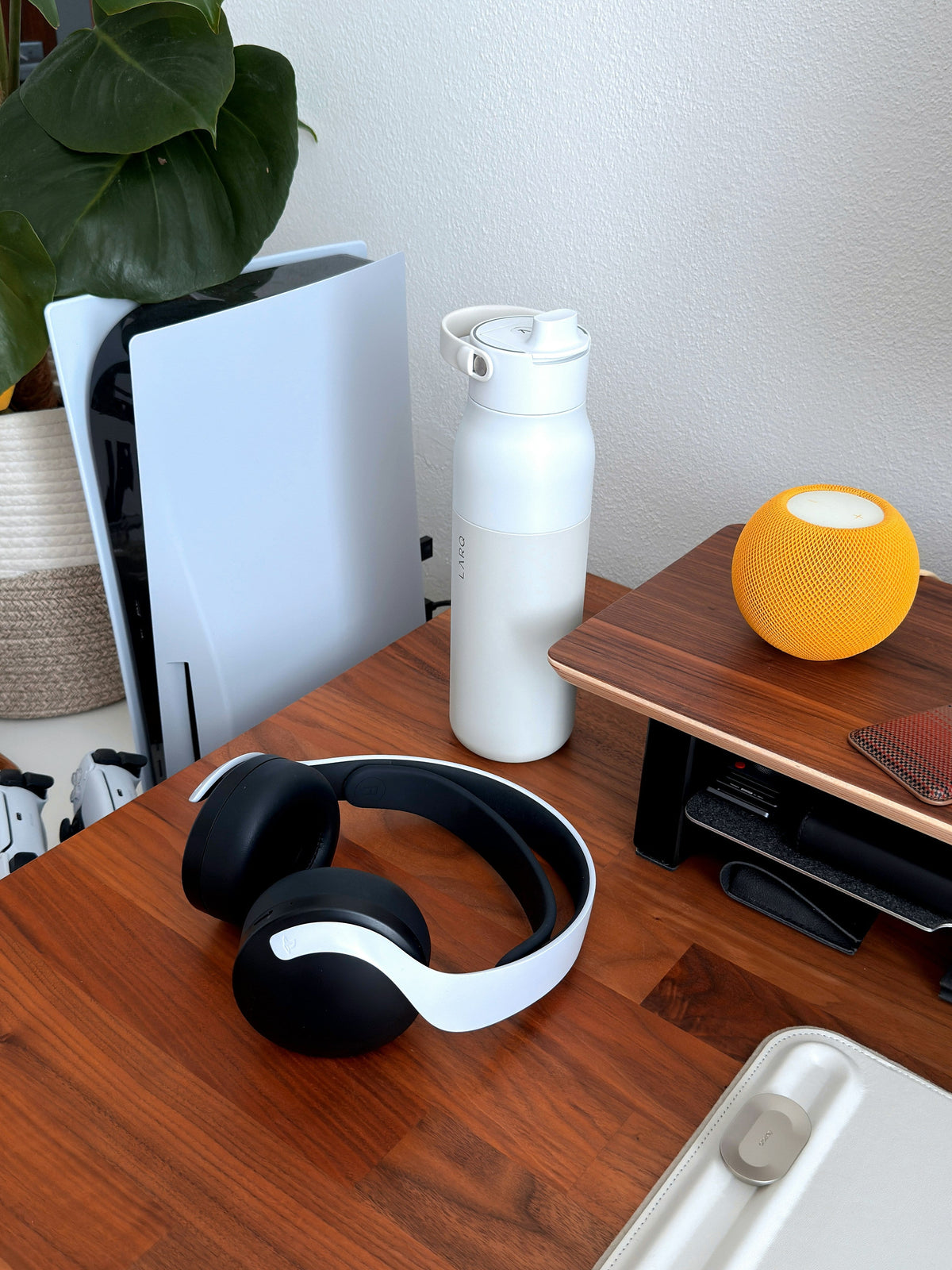 Reusable Water Bottles for Office Desks: Size and Lid Features to Consider