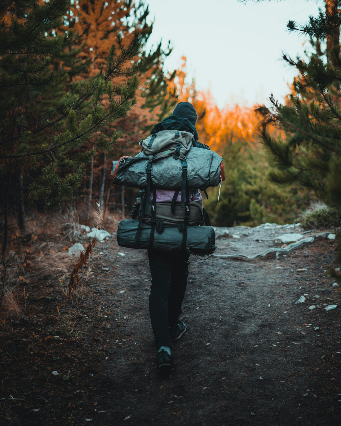 Camping Stove Carry Bags: How to Store and Transport Two-Burner Camp Stoves More Easily