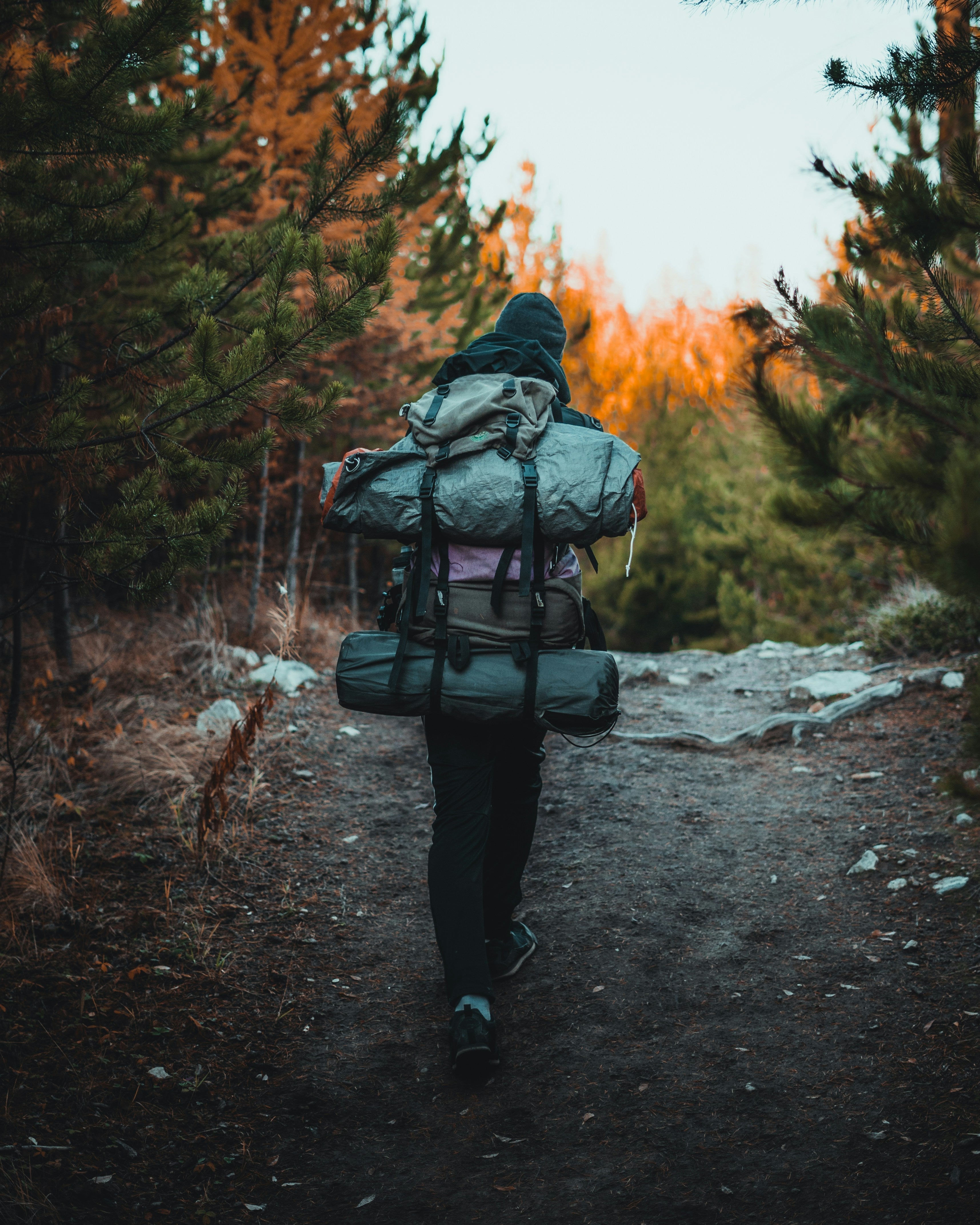 Camping Stove Carry Bags: How to Store and Transport Two-Burner Camp Stoves More Easily