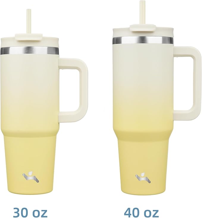 30 oz Tumbler with Handle and 2 Straws,2 in 1 Lid Insulated Water Bottle Stainless Steel Travel Coffee Mug,Lemon