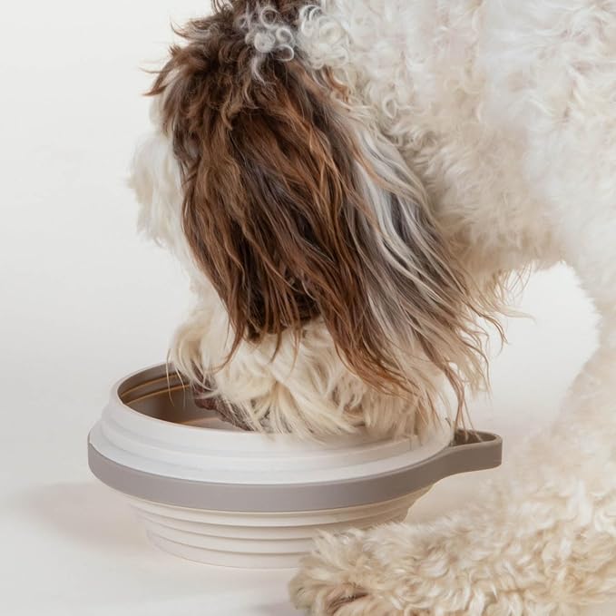 Nomad Large Collapsible Dog Bowl - 4 Cup Food-Safe Silicone Travel Bowl for Dogs, Portable & Sturdy, Food/Water, Dishwasher Safe - Sand
