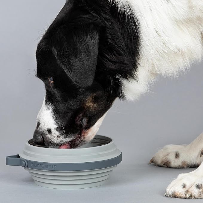 Nomad Large Collapsible Dog Bowl - 4 Cup Food-Safe Silicone Travel Bowl for Dogs, Portable & Sturdy, Food/Water, Dishwasher Safe - Grey
