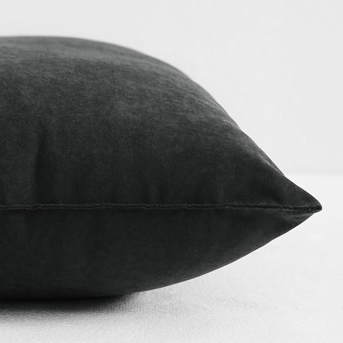 NTBAY Toddler Pillows, Down Alternative 13"x18" Pillow, Machine Washable - Soft and Breathable Travel Small Pillows for Sleeping, Ideal for Daycare, Crib, Cot, Black