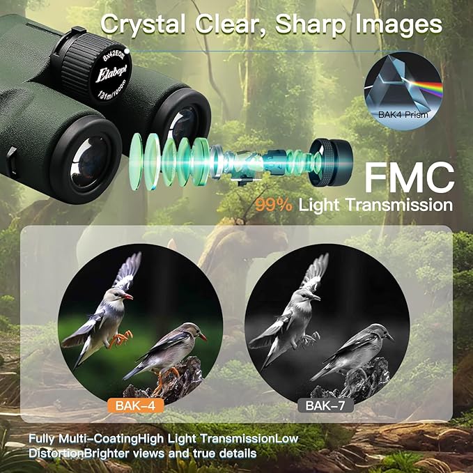 8x42EDII Compact Binoculars for Adults – High-Powered BAK4 Prisms, Diamond White Coating, Waterproof & Fogproof, Rubber Armored – Ideal for Bird Watching, Hunting, Travel, Outdoor Sports